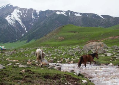 Hory koně Kyrgyzstán