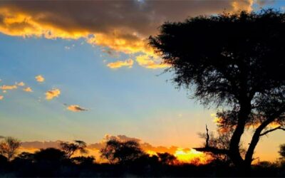 Ach ty západy slunce nad Afrikou