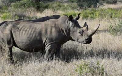 Začala podzimní lovecká sezóna