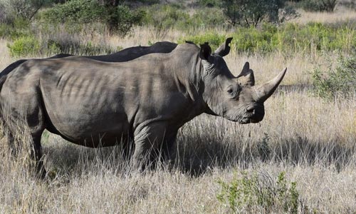 Začala podzimní lovecká sezóna