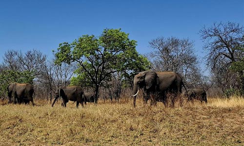 Na cestě z Namibie do Zimbabwe
