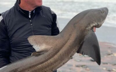 Rybaření na pobřeží Atlantiku