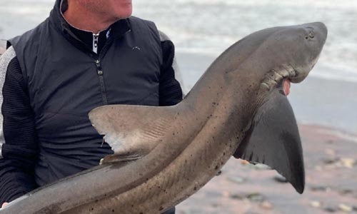 Rybaření na pobřeží Atlantiku