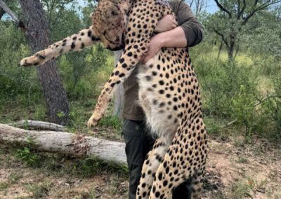 Lovecká sezóna 2025 / Hunting season 2025