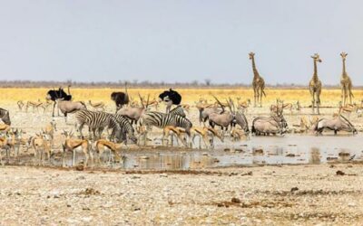 Rok 2026 – první kilometry nové sezóny