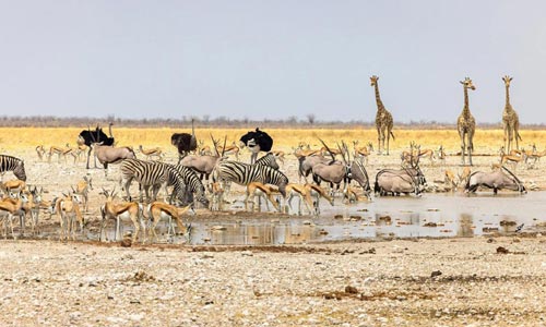 Rok 2026 – první kilometry nové sezóny