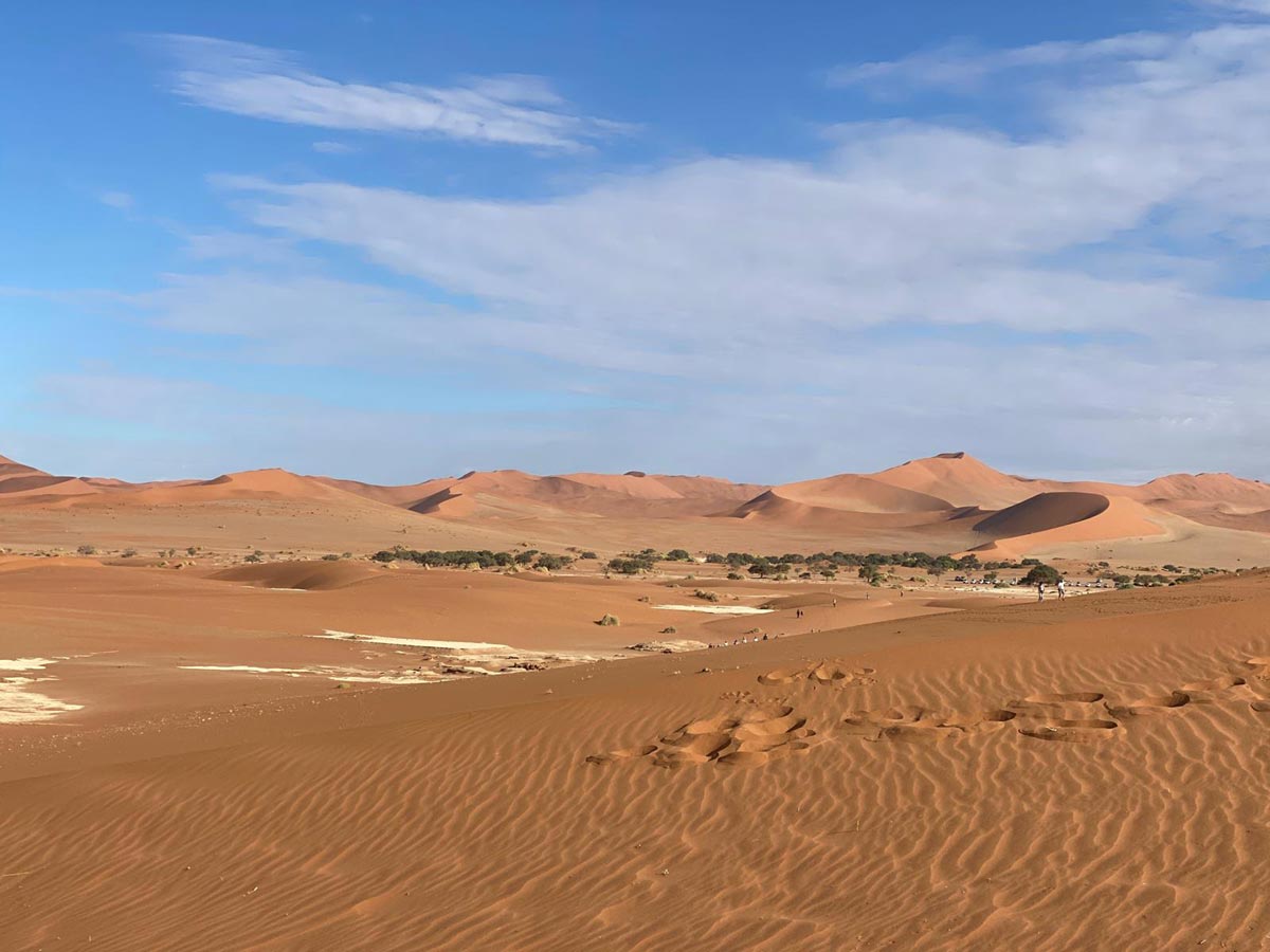 Lovecká sezóna 2025 / Hunting season 2025