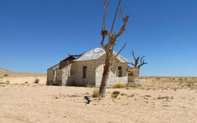 Afrika dává. Ale také bere.