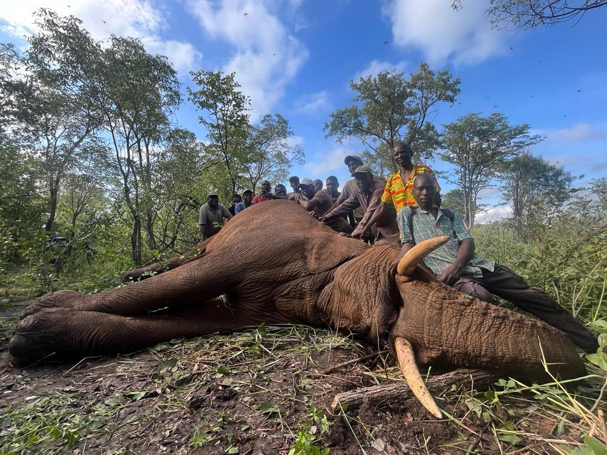 Etosha watterhole Lovecká sezóna 2025 / Hunting season 2025