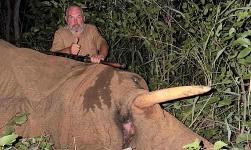 🐘 Lov slona v Zimbabwe