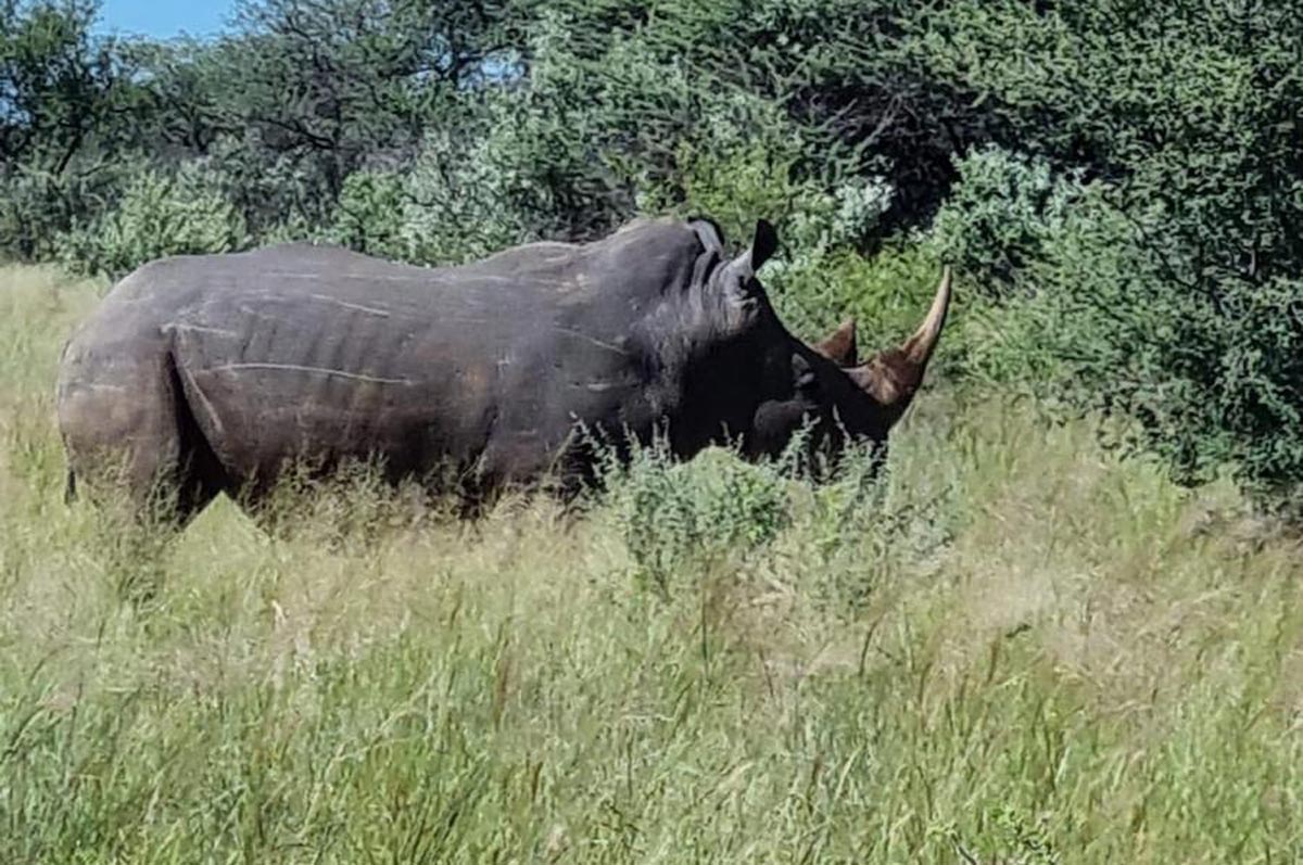 Lovecká sezóna 2025 / Hunting season 2025